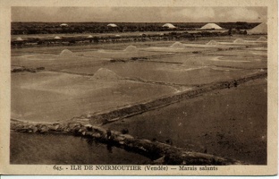 85 Noirmoutier 016op