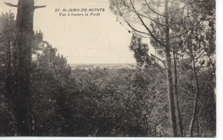 85 St Jean de Monts 041op