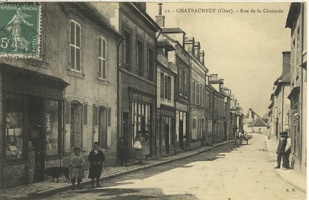 Chateauneuf-sur-Cher (22)