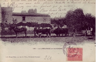 Le-Cantal-Pittoresque (113)