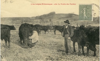 Le-Cantal-Pittoresque (163)