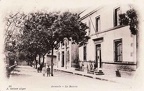 cartes postales d'Algerie