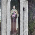 DSC08384