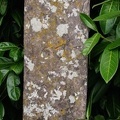 Croix-saint-Laurent3