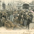 76-dieppe-la-vente-du-poisson-a-la-criee-1902-rare-en-carte-colorisee.jpg
