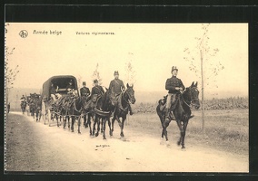 AK-Armee-belge-Voitures-regimentaires-belgische-Pferdegespanne