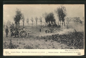 AK-Belgian-Army-Mountain-Battery-in-Motion