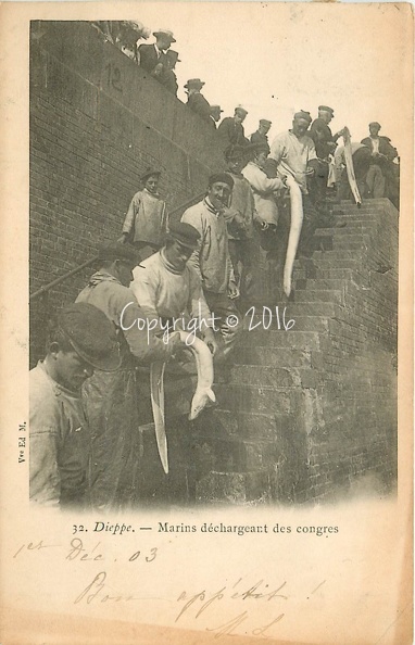 76-dieppe-marins-dechargeant-des-congres-1903-metiers-de-la-mer-pecheurs-et-poissons.jpg