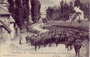 Le-Cantal-Pittoresque (4)