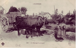 Le-Cantal-Pittoresque (20)