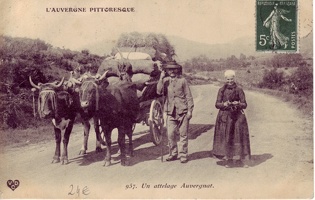 Le-Cantal-Pittoresque (36)