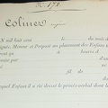 COLINEZ 172