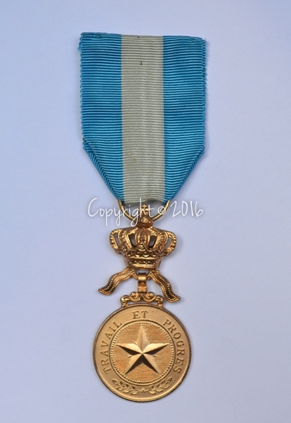 008OrdeAfrikaanseSterGoudenMedaille_02.jpg