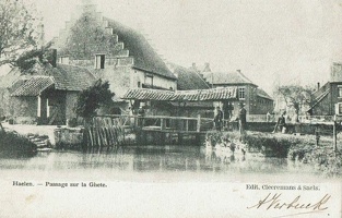 halen (7)