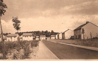 halen (10)