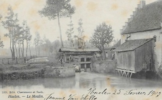 halen (14)