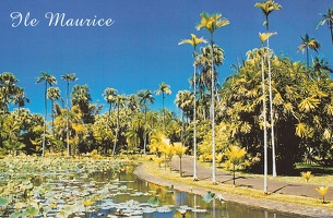 ile maurice (13)