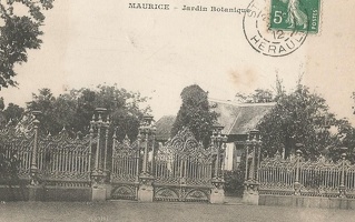 ile maurice (21)
