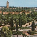 marrake (1)