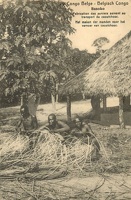 congo (6)