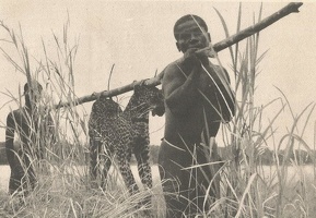 congo (12)