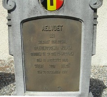 AELVOET Leo 8770